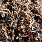 Preview: Typ 2 -Scottish Blend - 25gr.