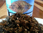 Preview: TAK - Orient Esprex - 100gr. - Dose