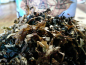 Preview: Herbst 84 - 200gr. - Dose