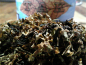 Preview: Morning 1975 - 100gr. - Dose