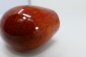 Preview: Amorelli - (2023) - Briar - 3*Stern - Nr. 639