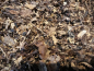 Preview: TAK - Backbord 2.0 - 100gr.