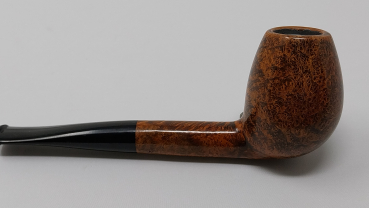 Preview: Darasz - Januar 2024 - Nr. 573