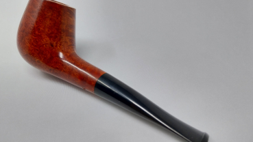 Preview: Darasz - Februar 2024 - Nr. 594