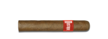 Mustique RED Robusto - 10 Stück - Bundle