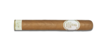 Flor de Selva Robusto - 7 Stück - Kiste
