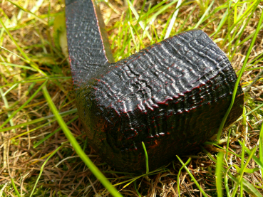 Estate - Savinelli - Nr.113