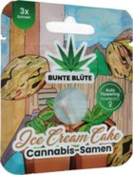 Bunte Blüte THC Cannabissamen Ice Cream Cake Auto Flowering, 3 Samen
