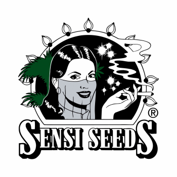 SENSI SEEDS  - Feminisiert - "Black Domina"  3 Samen