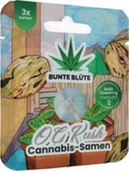 Bunte Blüte THC Cannabissamen OG Kush Auto Flowering, 3 Samen