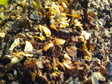 Preview: TAK - Sailing City 2.0 - 25gr.