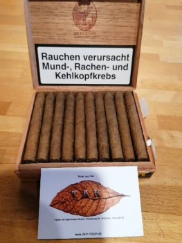 Olifant - VOC Magnum - 20 Stück