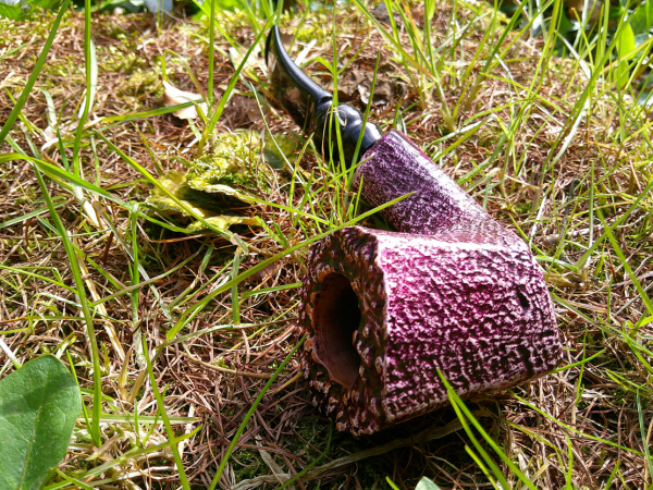 Estate - Noerding- Nr.114