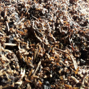 Typ 2 -Scottish Blend - 25gr.