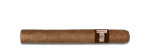 Mustique Amber Corona - 10 Stück - Bundle