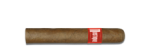 Mustique RED Robusto - 10 Stück - Bundle