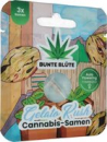 Bunte Blüte THC Cannabissamen Gelato Kush Auto Flowering, 3 Samen