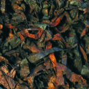 McConnell Latakia 50gr.